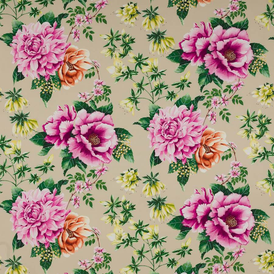 Alba - Spr 21 — Manuel Canovas