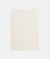 Wide Silk Raso Avorio (1) — Dedar tyg