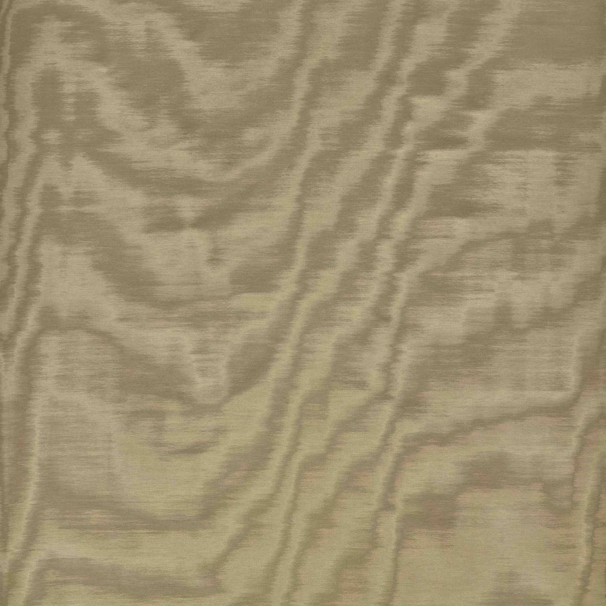 Amoir Fou Wall Bronzo (19) — Dedar tapet