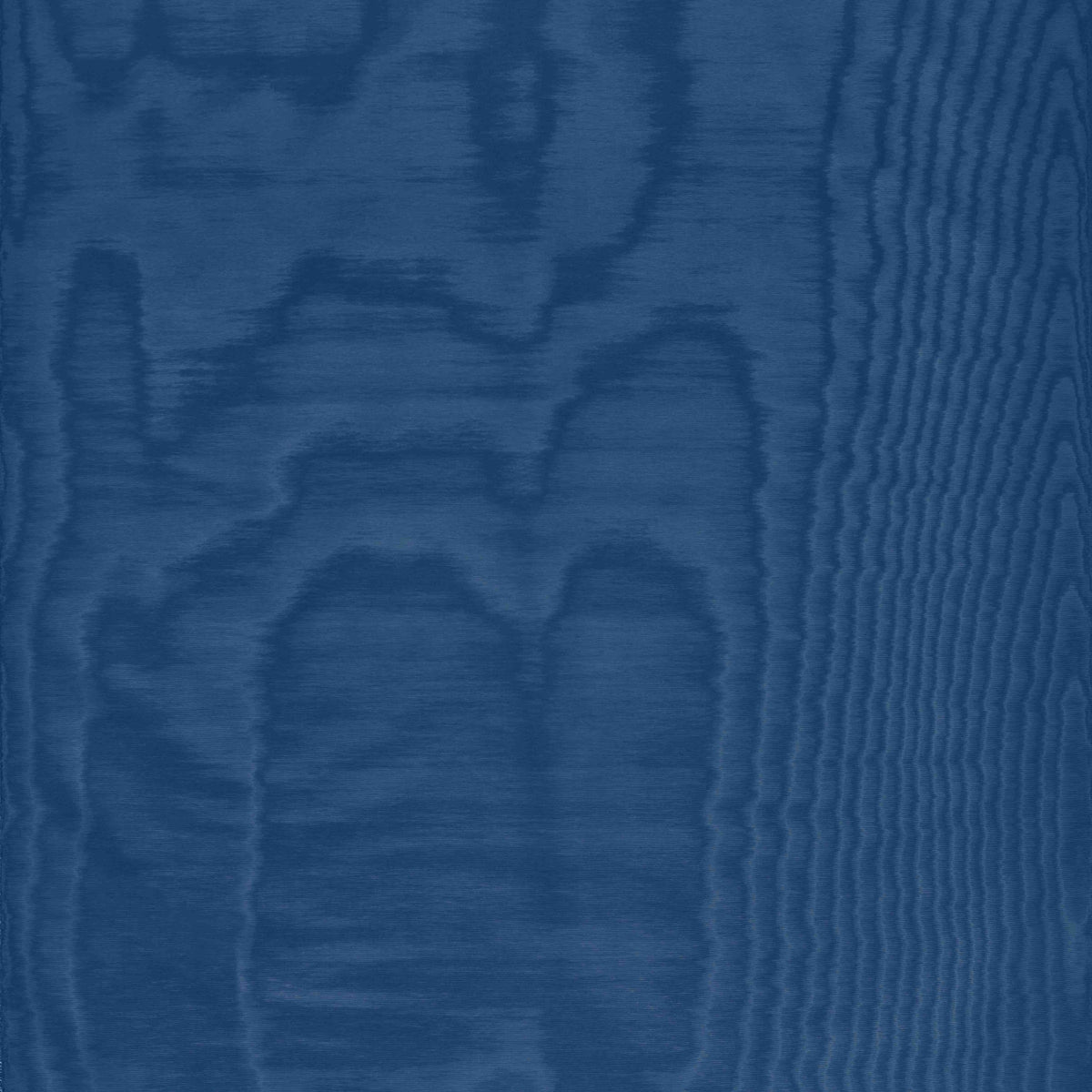 Amoir Fou Wall Bleu de Prusse (25) — Dedar tapet