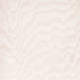 Amoir Fou Wall White (32) — Dedar tapet