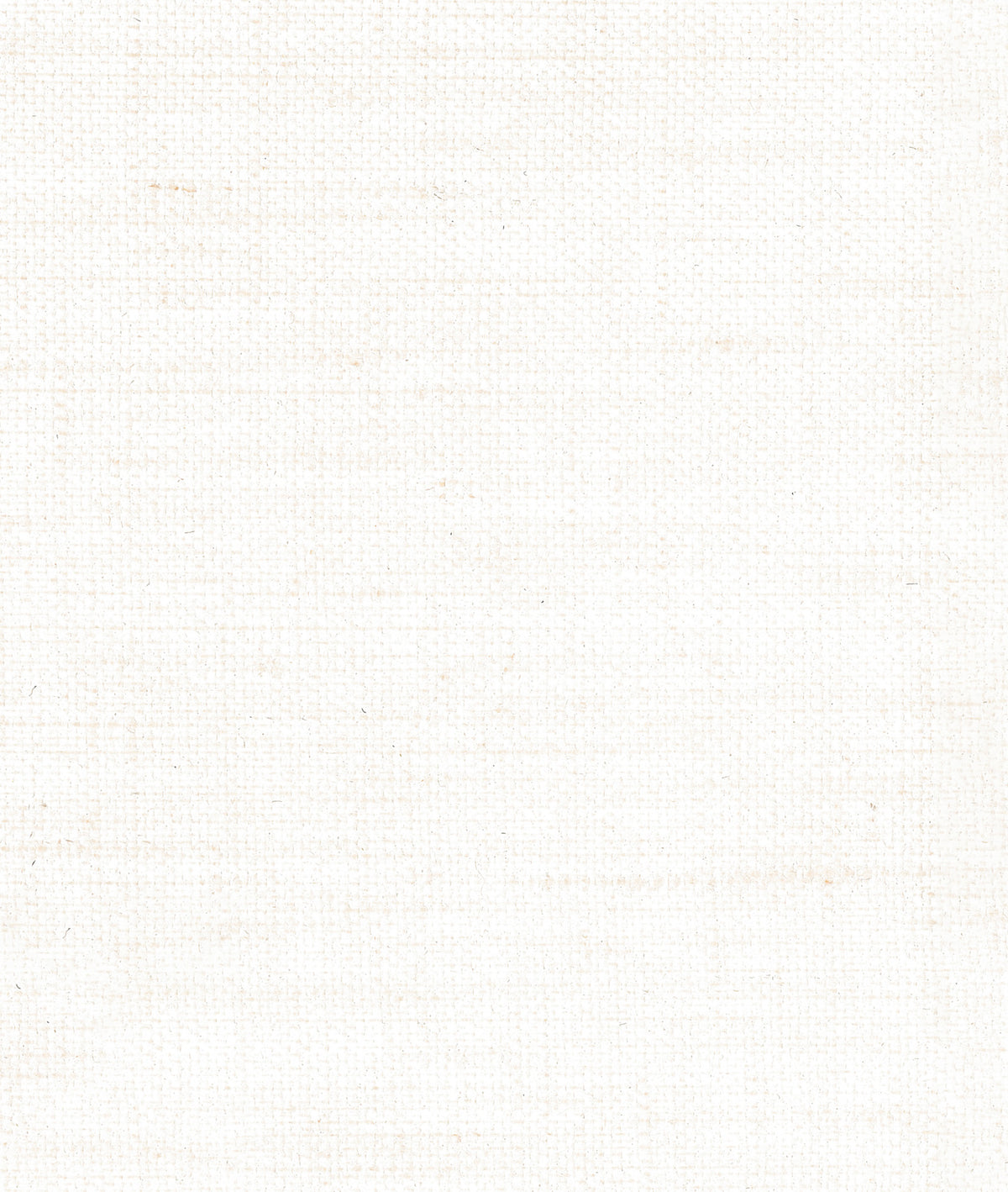 Toile Bâche Wall Gesso (1) — Dedar tapet
