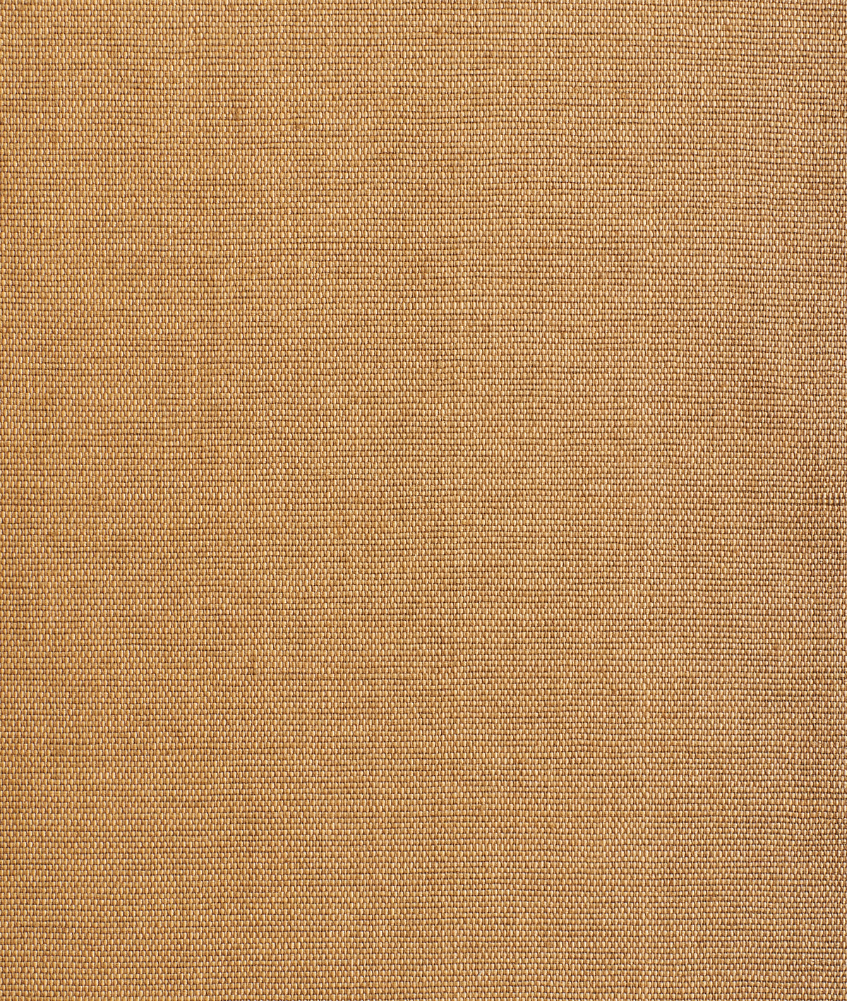 Didgeridoo Wall Rattan (6) — Dedar tapet
