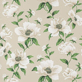 Manuel Canovas Wallpaper Bianca Nacre