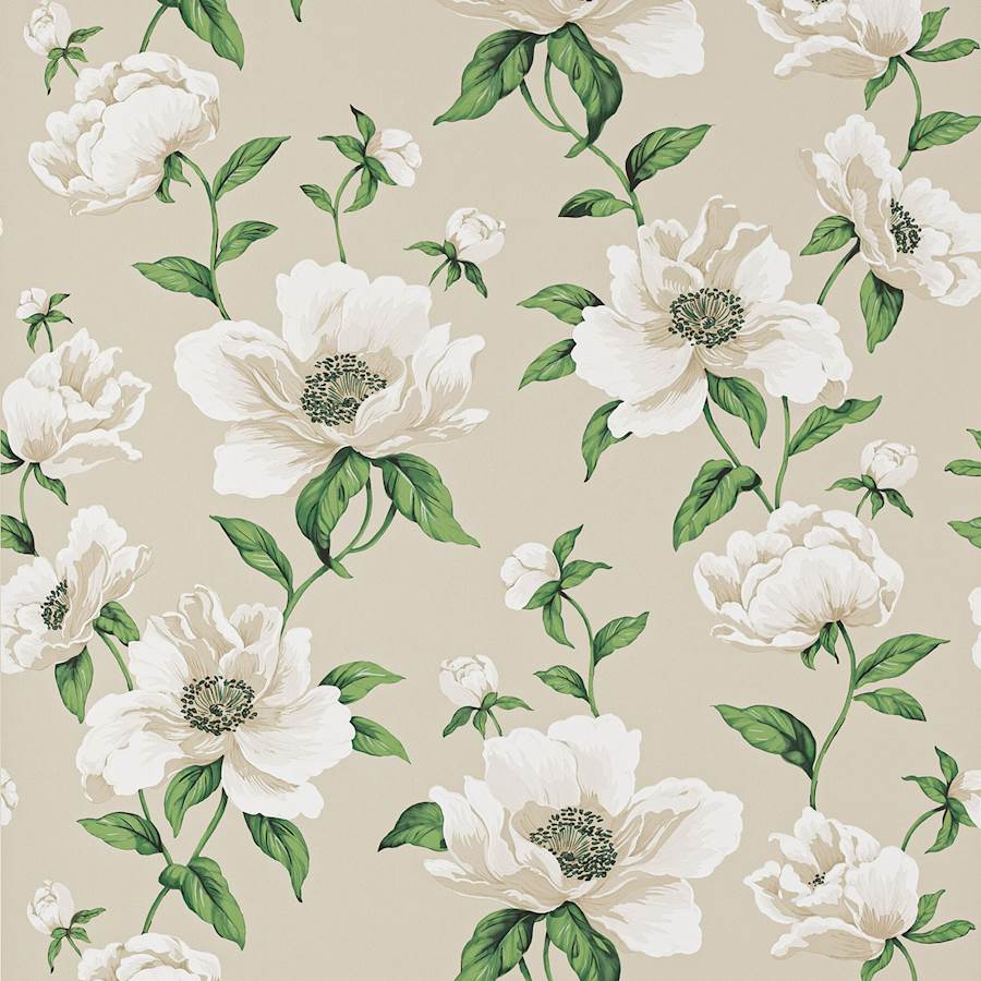 Bianca Wallpaper — Manuel Canovas