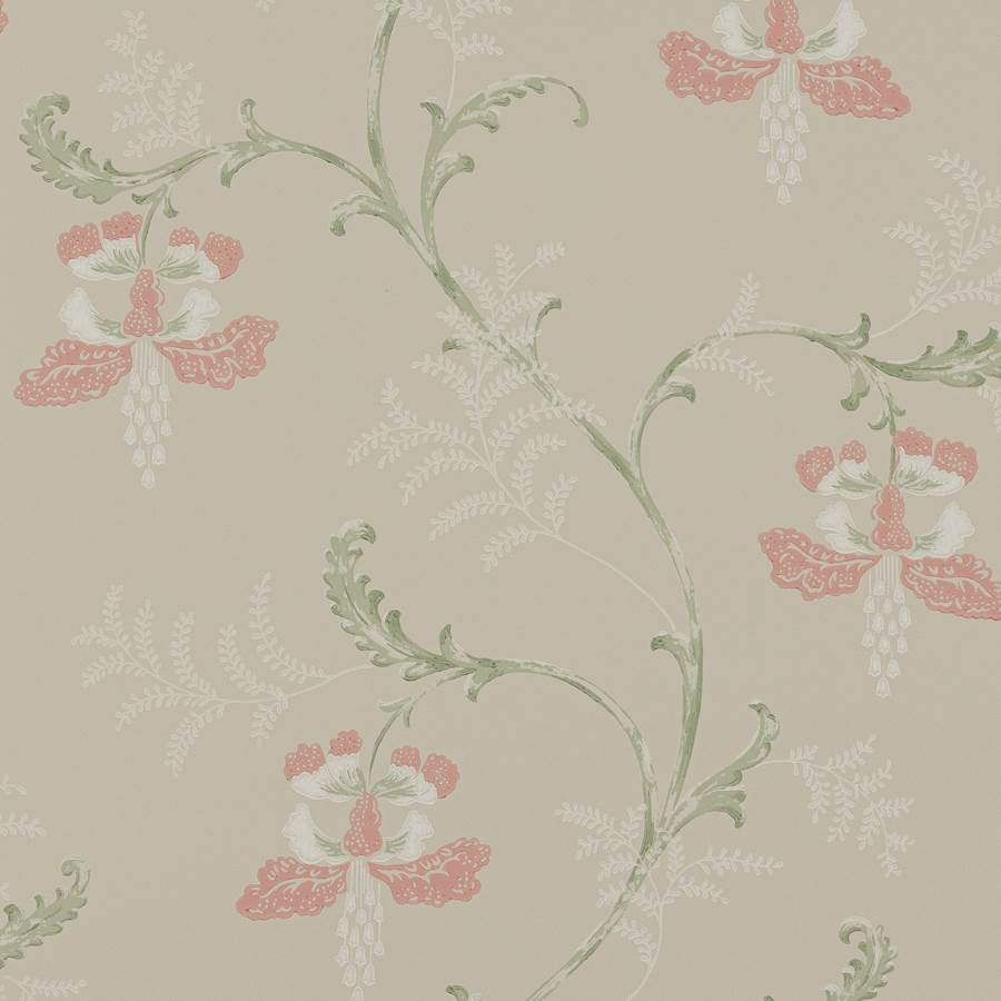Colefax and Fowler Tapete Bellflower Pink Green