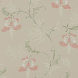 Colefax and Fowler Tapete Bellflower Pink Green