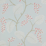 Colefax and Fowler Atwood Old Blue -tapetti