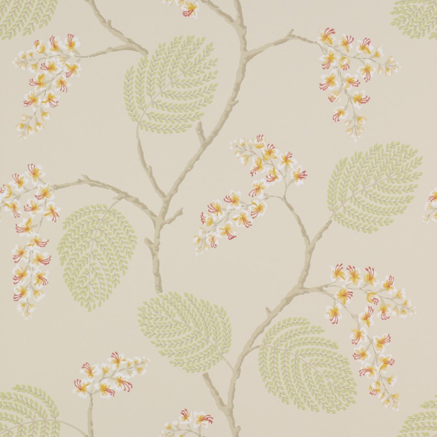 Colefax and Fowler Atwood Coral Green -tapetti