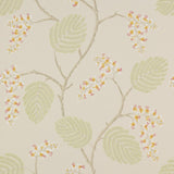 Colefax and Fowler Atwood Coral Green -tapetti