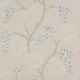 Colefax and Fowler Atwood Blue Beige -tapetti