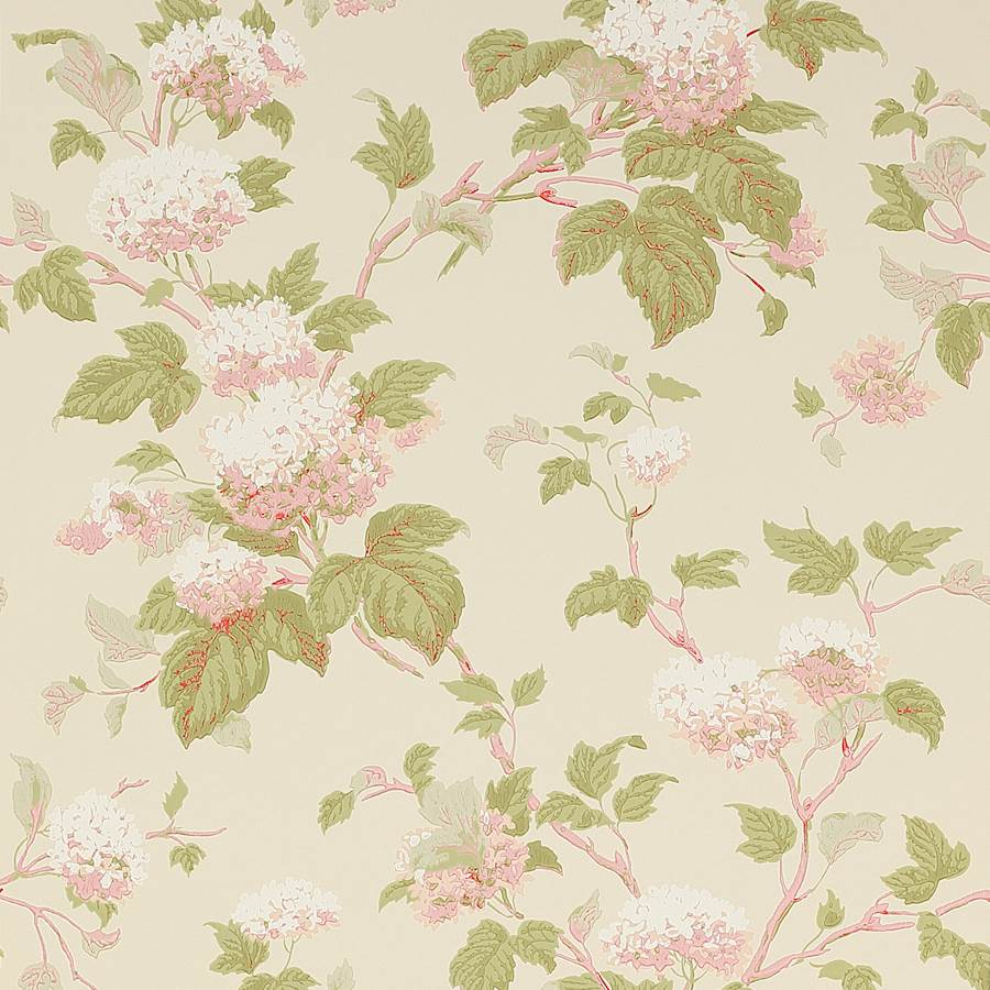 Colefax and Fowler Wallpaper Chantilly Pink Green