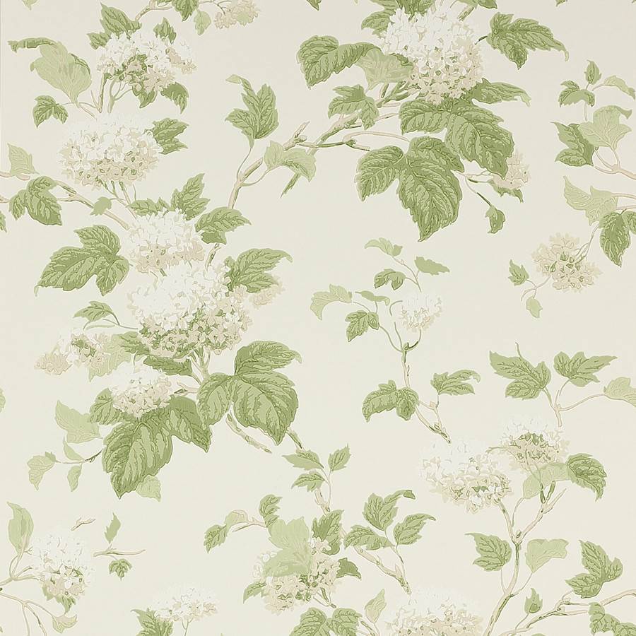 Colefax and Fowler Wallpaper Chantilly Ivory Leaf