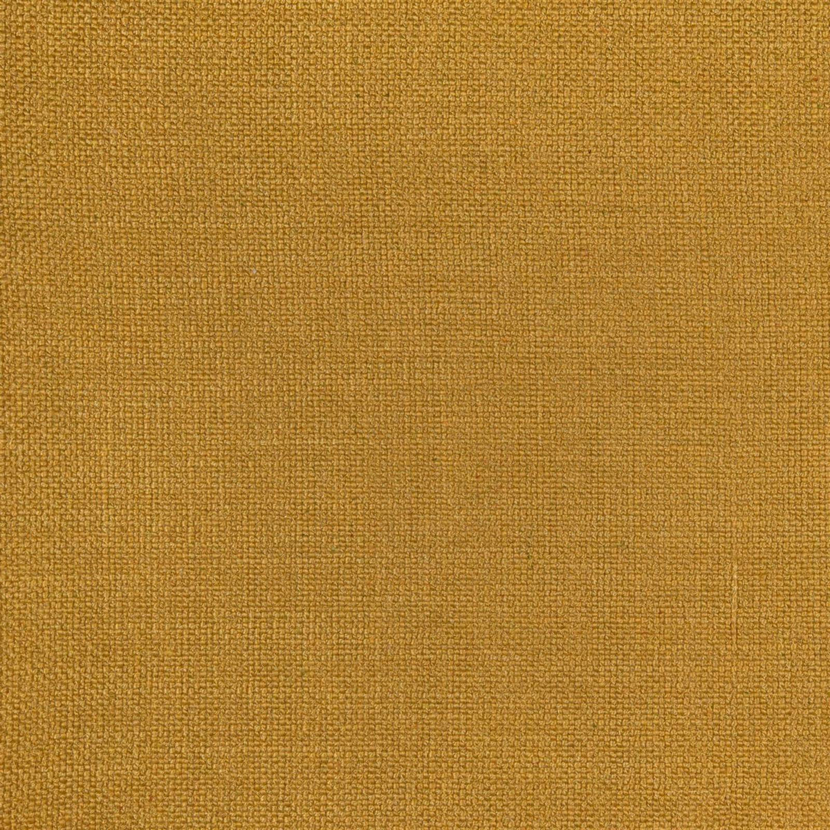 Paco 36 — Nobilis -kangas