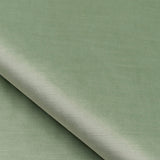 Velours Calder N°2 Fabric Sample 72