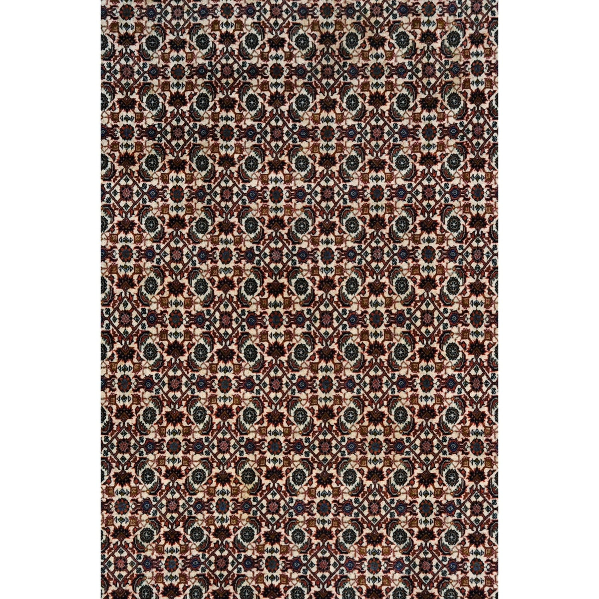 Bidjar 293x206 cm