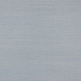 Seagrass Tapet