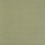 Seagrass Tapet