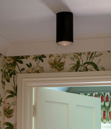 Bartley Downlight -kattovalaisin
