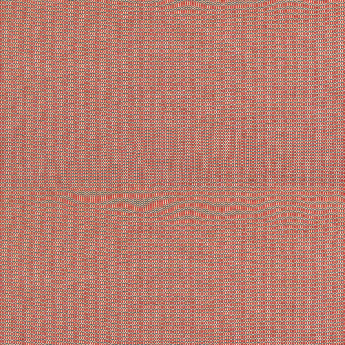 Burford Weave Fabric