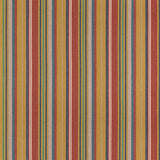 Petra Stripe Jazz fabric