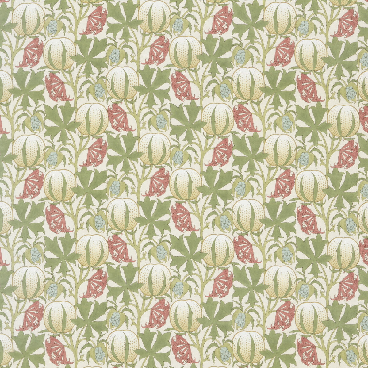 Pumpkins Cotton Stof - Coral/Green