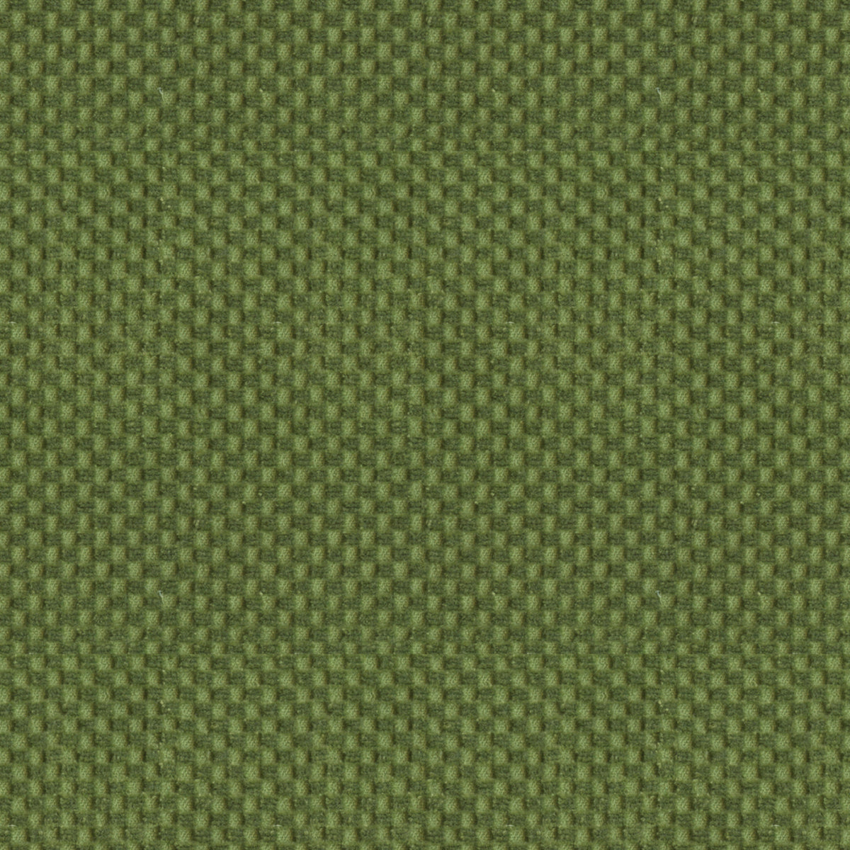 BR-80991-kangas