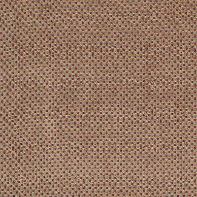 Luca Chenille Texture Indienne fabric