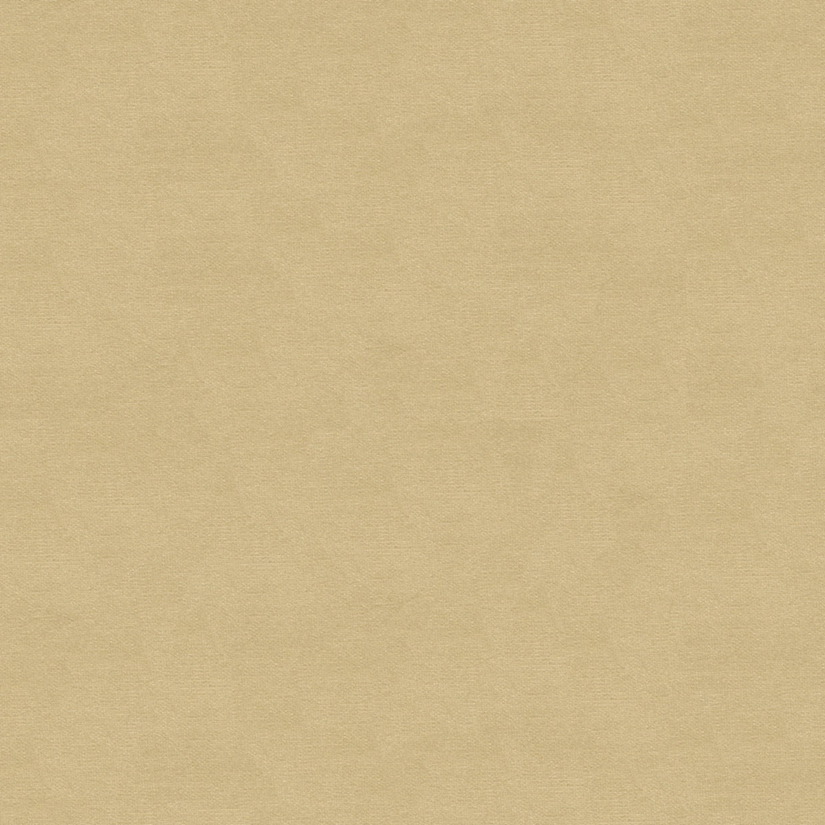 Lubeck Cotton Velvet Stof