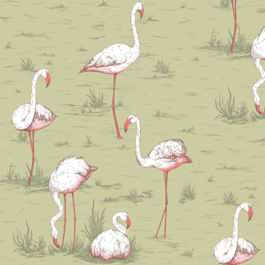 Campione di carta da parati Flamingos — Cole & Son