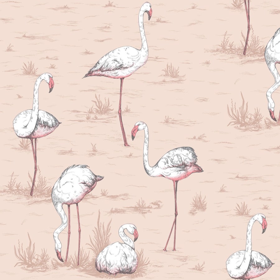 Flamingos 39 — Cole & Son tapetprov