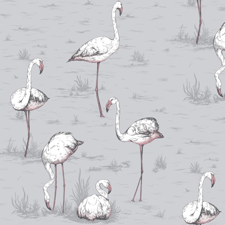 Flamingos 40 — Cole & Son tapetprov