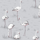 Flamingos 40 — Cole & Son tapetprov