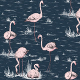 Flamingos 41 — Cole & Son tapetprov
