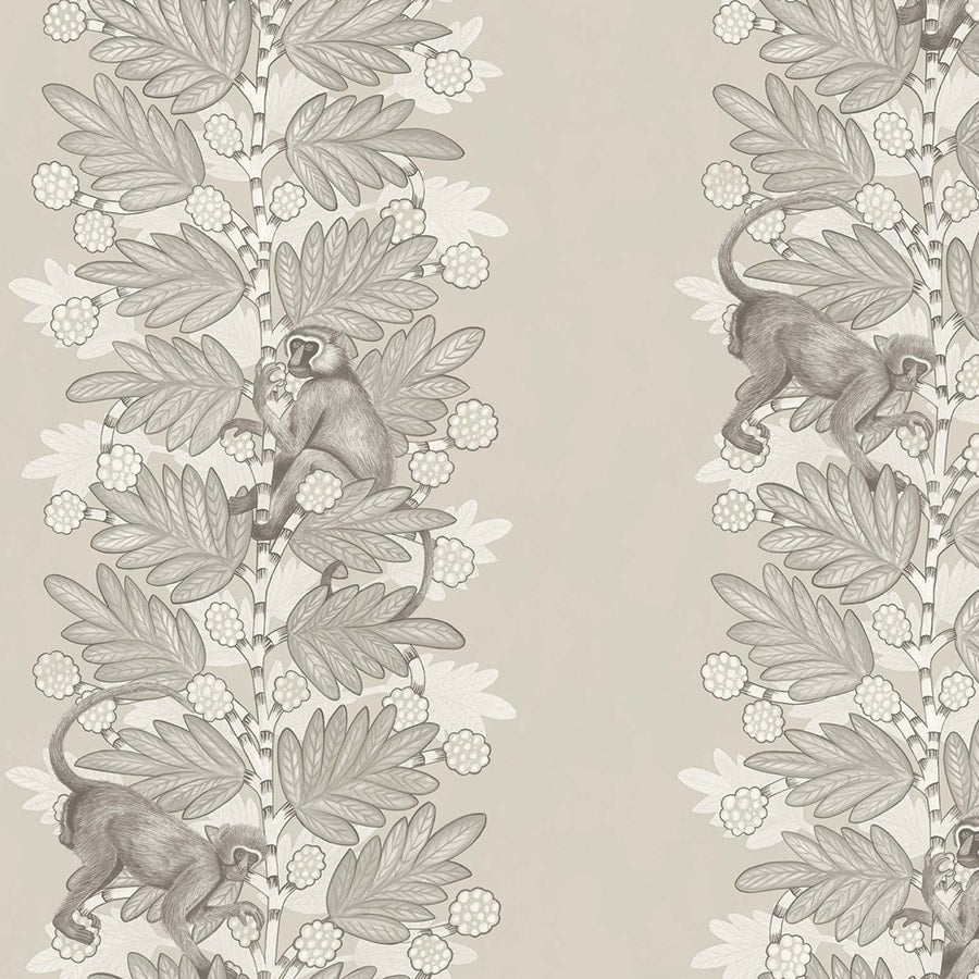 Acacia 54 — Cole & Son behangstaal