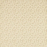 Sanderson Tyg Fern Frond Fawn