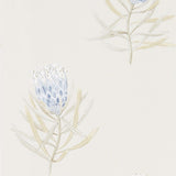 Sanderson Protea Flower China Blue/Canvas -tapetti