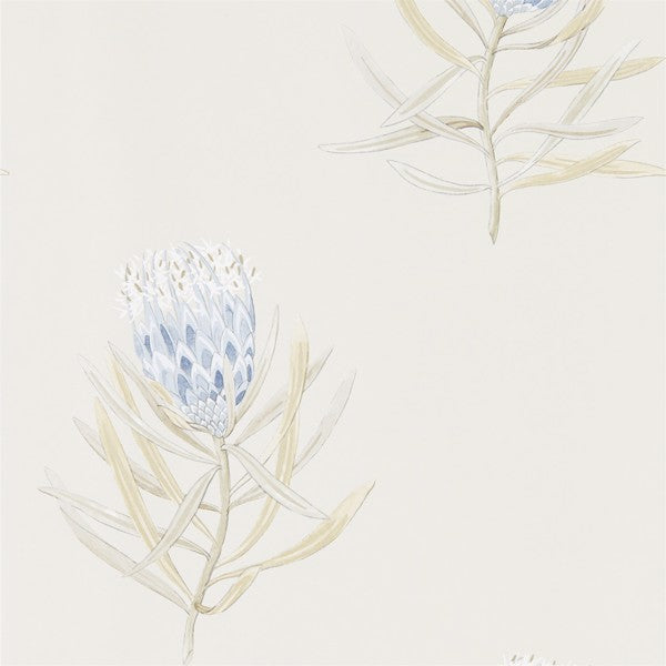 Protea Flower Behang — Sanderson