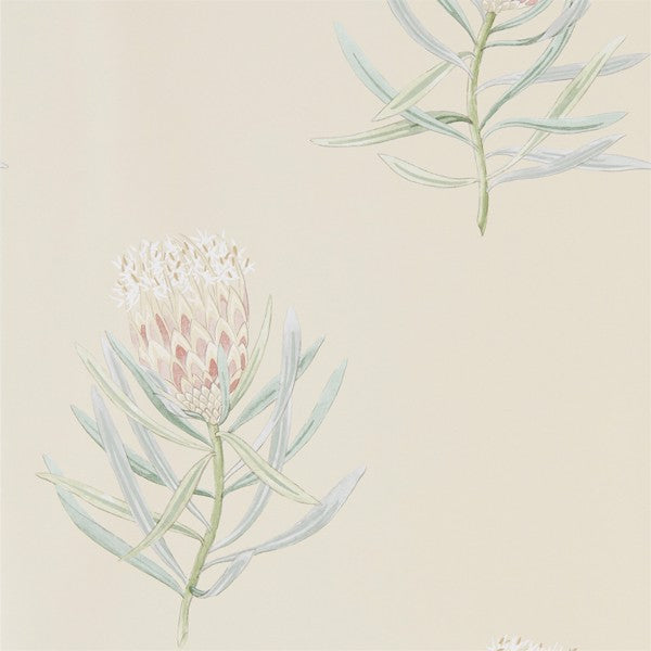 Sanderson Protea Flower Russet/Green -tapetti