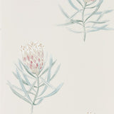 Sanderson Protea Flower Porcelain/Blush -tapetti