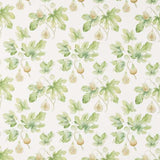 Fig Harvest Garden Green — Sanderson fabric sample