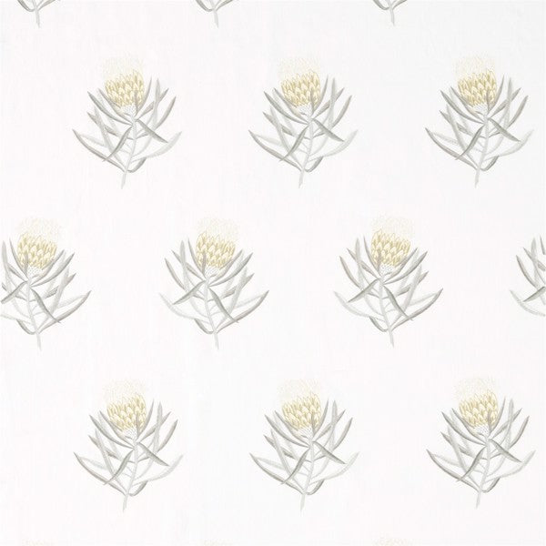 Protea Flower Daffodil/Natural — Sanderson -kangasnäyte