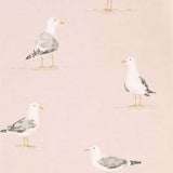 Sanderson Tapet Shore Birds Blush