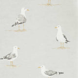 Sanderson Tapet Shore Birds Gull