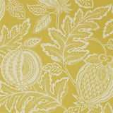Sanderson Behang Cantaloupe Caraway