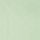 Sanderson Wallpaper Caspian Strie Grass