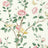 Rose/Cream