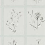 Sanderson Wallpaper Little Thistles Grey Blue