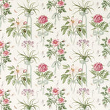 Sanderson Fabric Cupid`s Beau Parchment/Madder