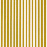 Regency Aperigon Jute /Chartreuse — Sanderson fabric sample